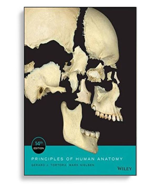 Anatomy and physiology tortora 14th pdf
